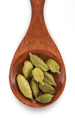 Canto dos Temperos - Campinas - Cardamomo