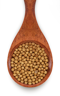 Canto dos Temperos - Campinas - Coentro em pó ou semente