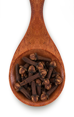 Canto dos Temperos - Campinas - Cravo da Índia