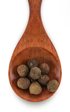 Canto dos Temperos - Campinas - Pimenta Jamaicana