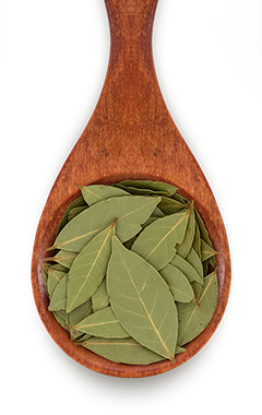 Canto dos Temperos - Campinas - Louro folha ou pó