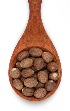 Canto dos Temperos - Campinas - Noz-moscada